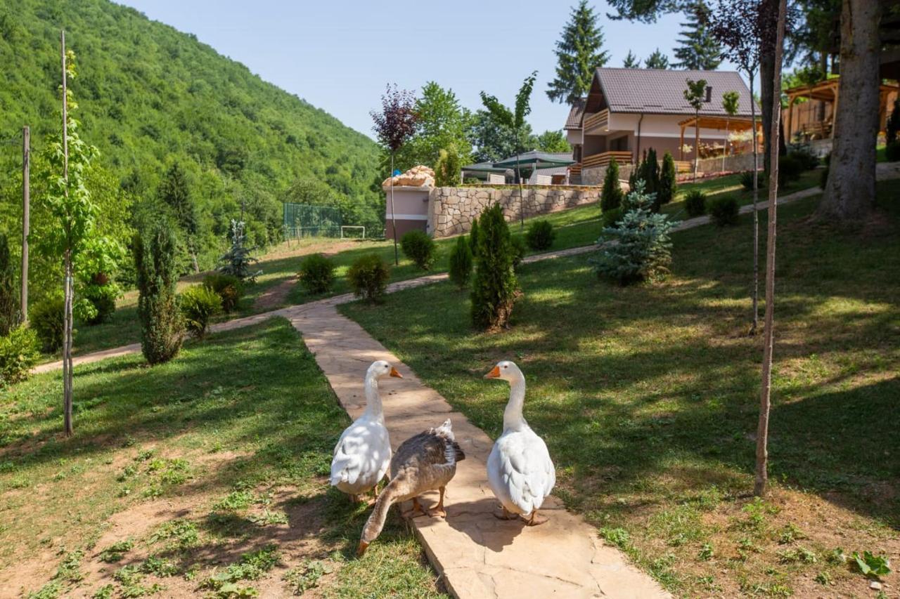 Vila Jasen - Bjelasnica Sarajevo Ngoại thất bức ảnh